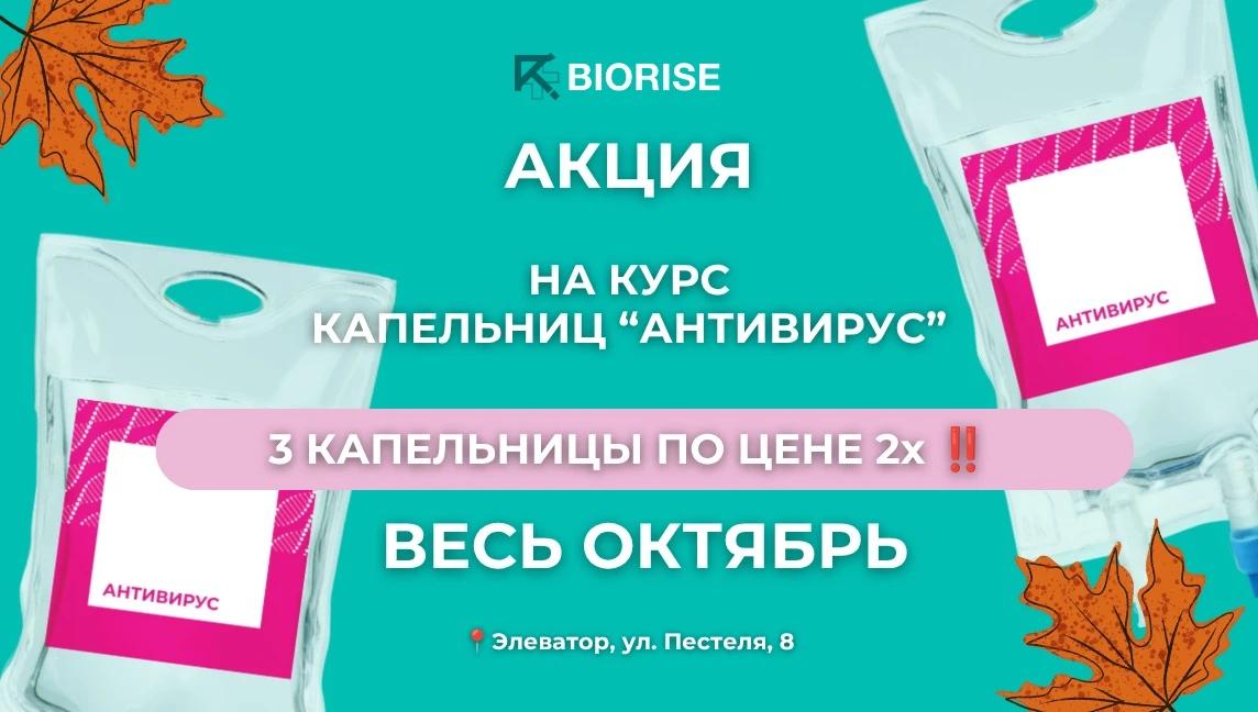 Biorise - 28152